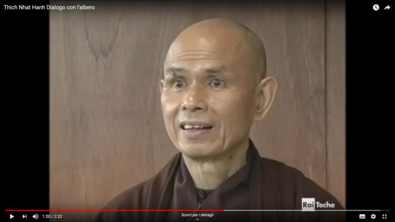 Thich Nhat Hanh:  Dialogo con l’albero